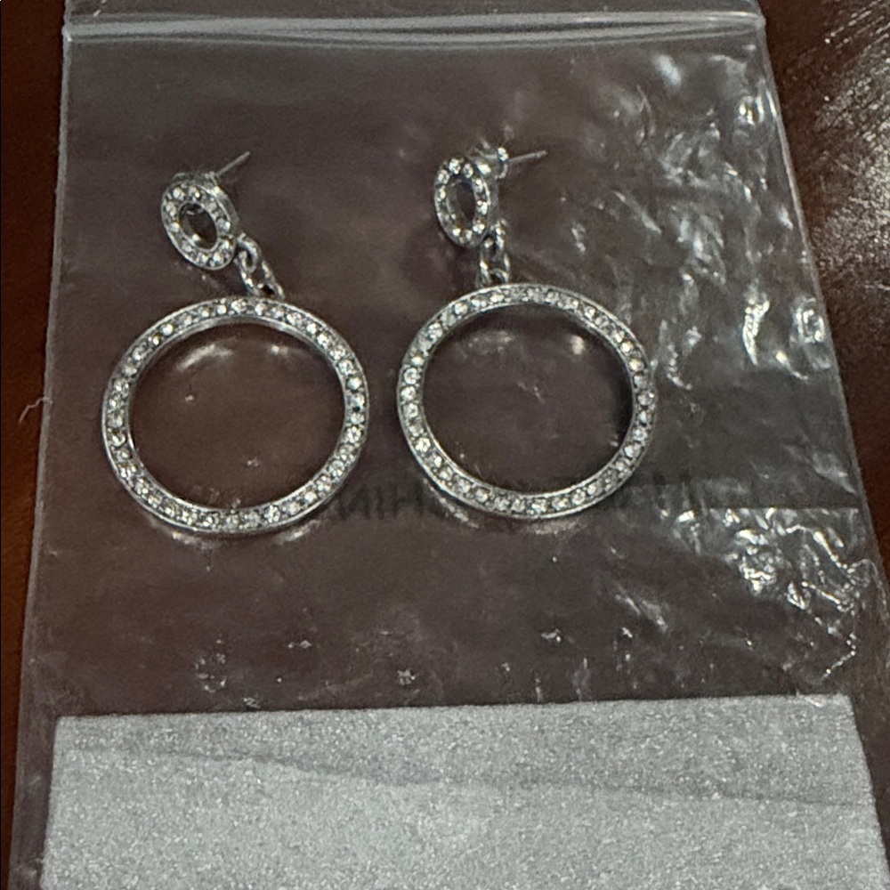 Swarovski Silver Crystal Hoop Earrings